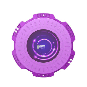 Magnetic Therapy Twisting Disc - Fitness Haven Pro